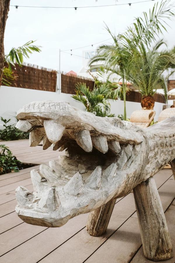 Hostel Dreamsea Surf House Fuerteventura Corralejo Exteriér fotografie
